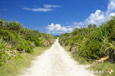 ハビャーンへの道