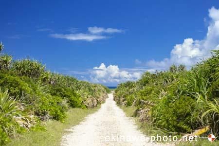 ハビャーンへの道