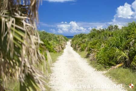 ハビャーンへの道