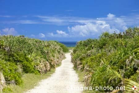 ハビャーンへの道