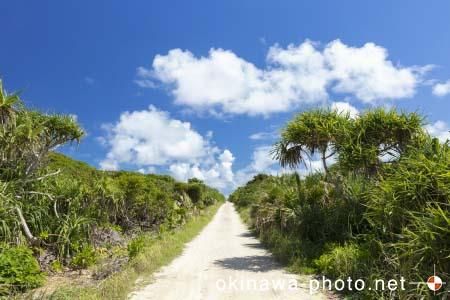 ハビャーンへの道