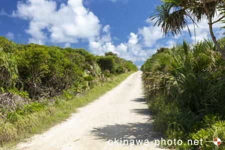 ハビャーンへの道