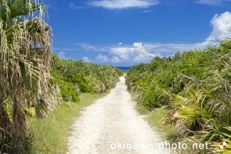 ハビャーンへの道