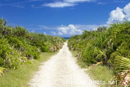 ハビャーンへの道