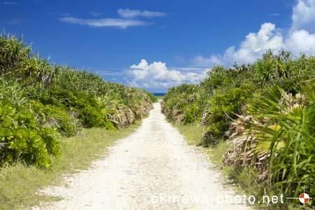 ハビャーンへの道