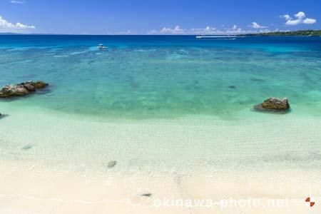 ゴリラチョップ