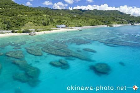 ゴリラチョップ