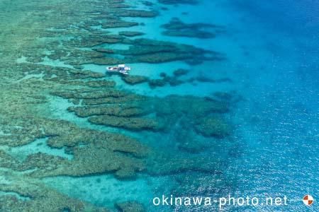 ゴリラチョップ