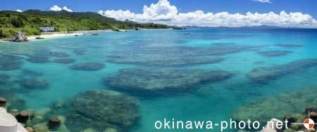 ゴリラチョップ