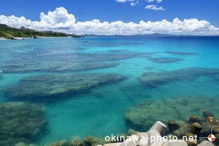 ゴリラチョップ