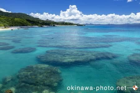 ゴリラチョップ