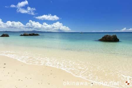 ゴリラチョップ