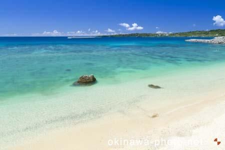 ゴリラチョップ