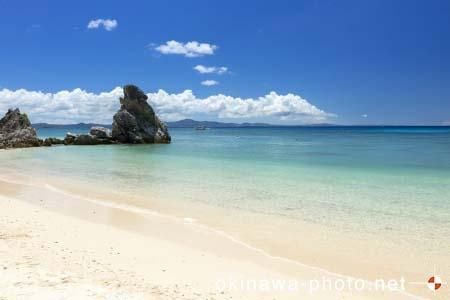 ゴリラチョップ