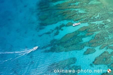 ゴリラチョップ