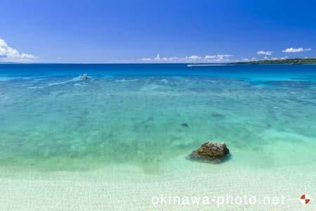 ゴリラチョップ