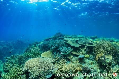 安慶名敷島周辺