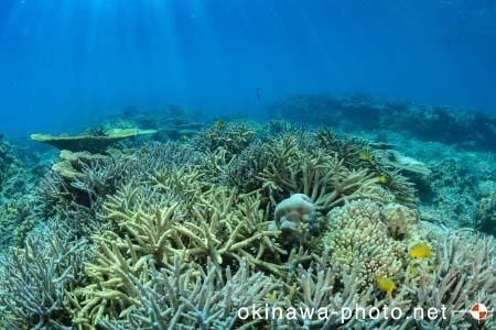 安慶名敷島周辺