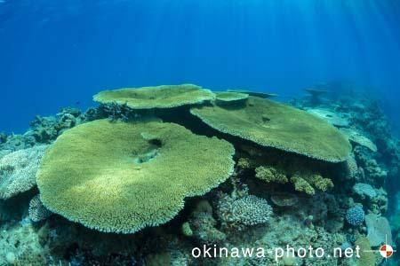 安慶名敷島周辺