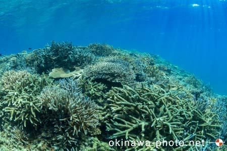 安慶名敷島周辺