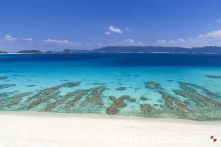 古座間味ビーチ