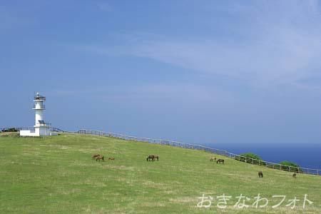 与那国馬