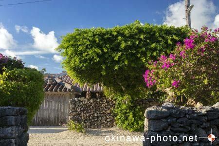 シーサーと赤瓦の家
