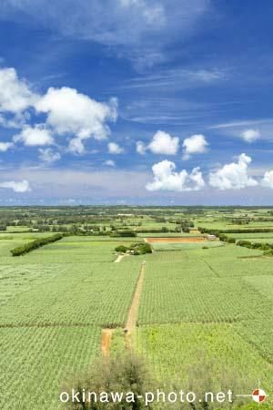 日の丸展望台から