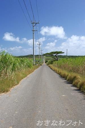 シュガーロード