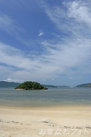 まるまぼんさん