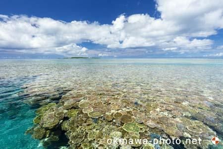鳩間島の海