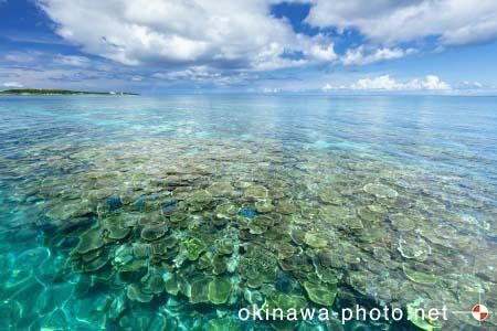 鳩間島の海