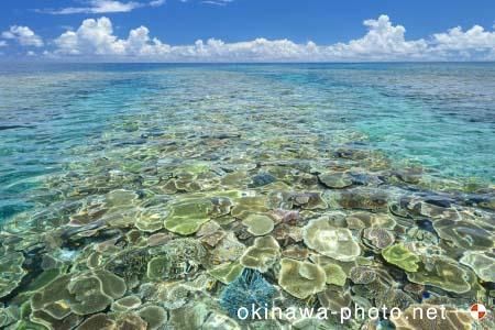 西表島の海