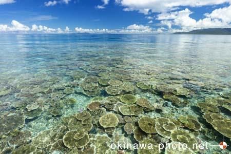 西表島の海