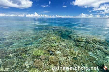 西表島の海