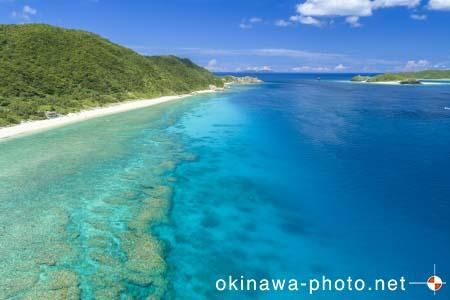 ニシバマ／北浜