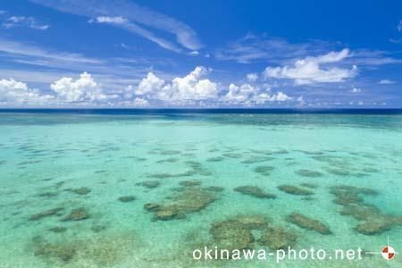 久米島の海