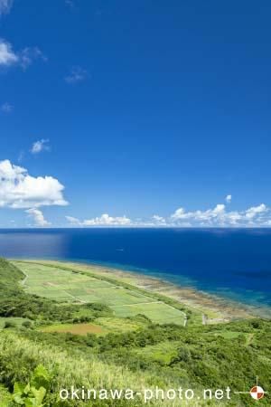 比屋定バンタから