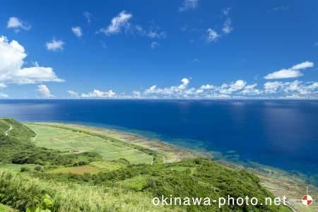 比屋定バンタから