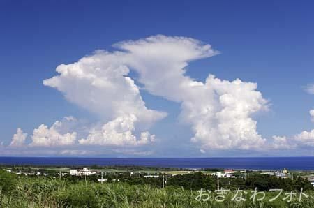 夏雲のある風景