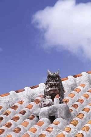 シーサーと赤瓦の家