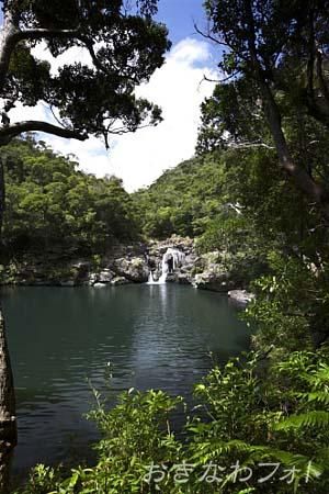 タナガーグムイ植物群
