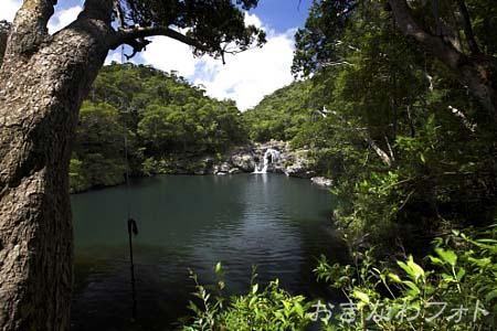 タナガーグムイ植物群
