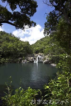 タナガーグムイ植物群