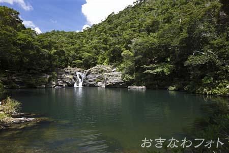 タナガーグムイ植物群