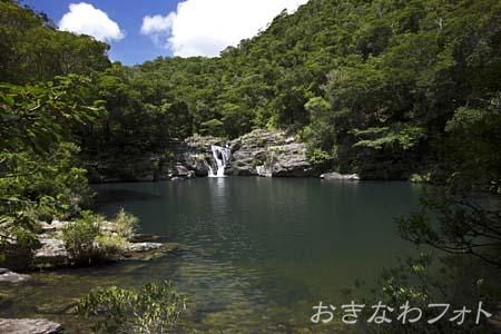 タナガーグムイ植物群