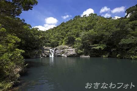 タナガーグムイ植物群