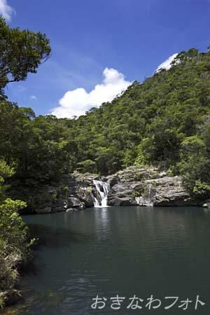 タナガーグムイ植物群