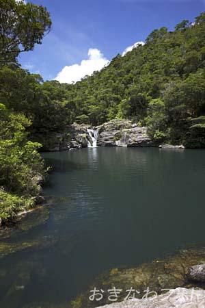タナガーグムイ植物群