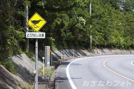 やんばるくいな